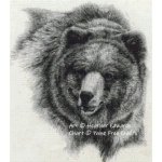 (image for) Brown Bear